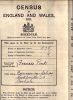 1911 Census - Frances Allison & Family